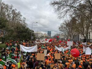 manifestación Madrid